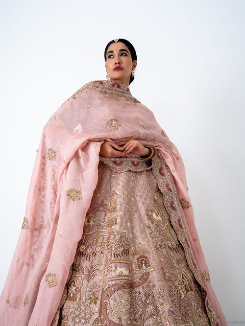 Blush pink embroidered lehenga, full length with the dupatta