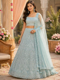 Powder blue lehenga with silver chevron thread work